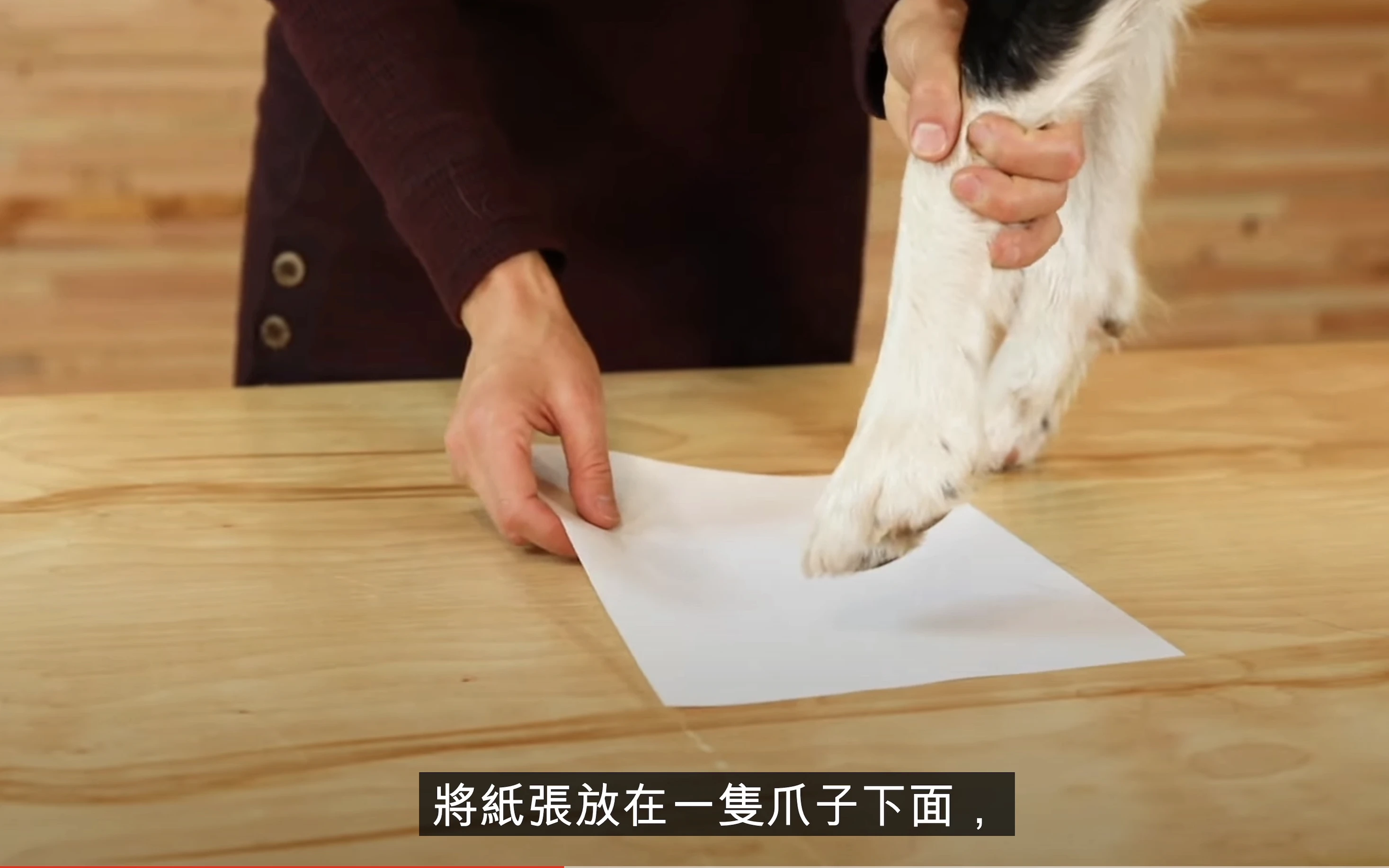 量腳掌寬步驟1