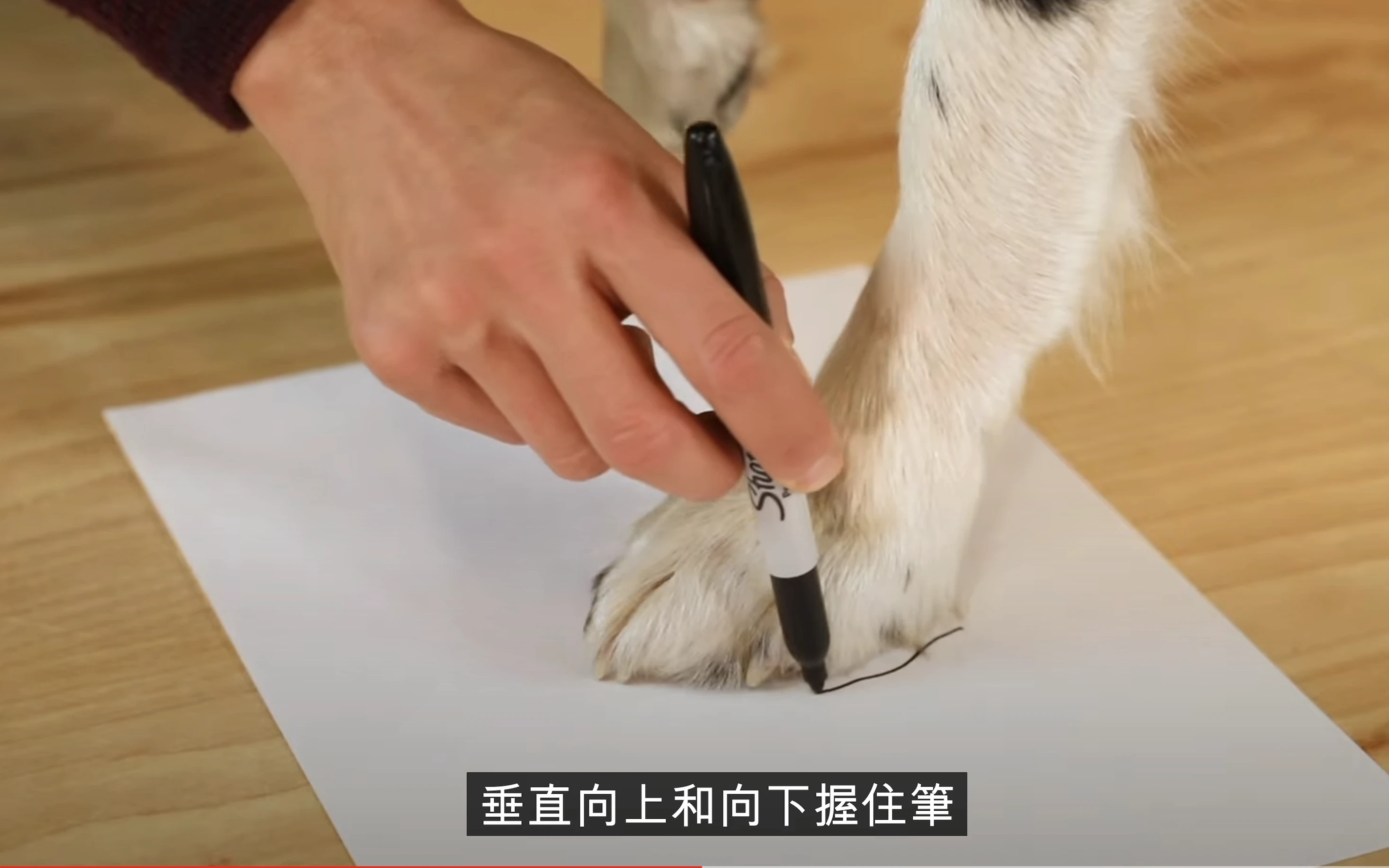 量腳掌寬步驟2
