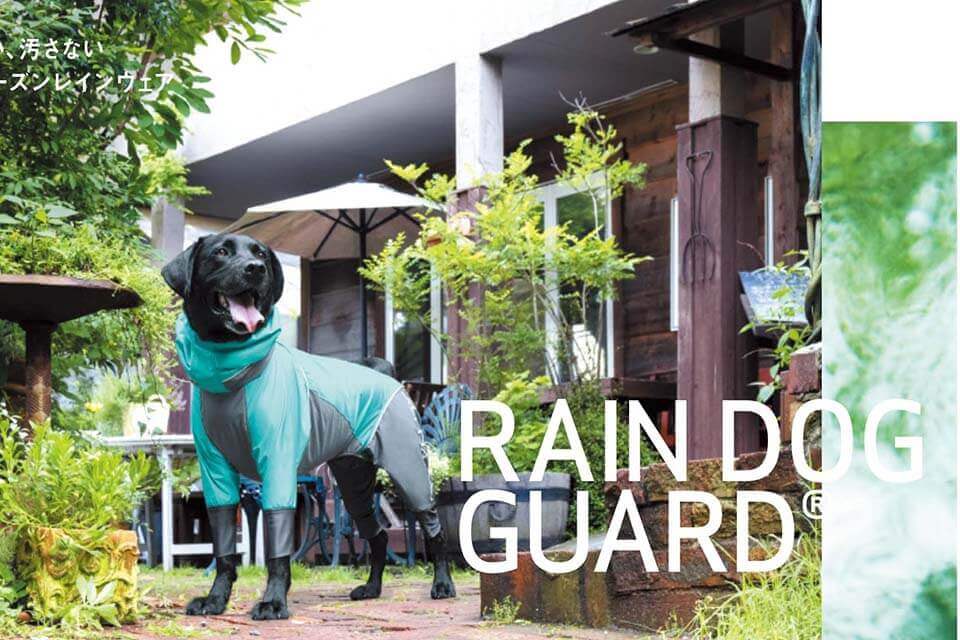狗狗雨衣推薦清單一次看，不再煩惱狗狗雨衣哪裡買！